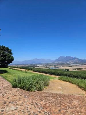 Thumbnail Excursión Privada al Vino de Stellenbosch desde Ciudad del Cabo