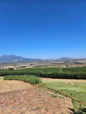 Thumbnail Excursión Privada al Vino de Stellenbosch desde Ciudad del Cabo