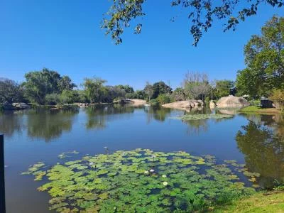 Thumbnail Kleingruppe Cape Winelands Weinreise: Stellenbosch, Franschhoek & Paarl