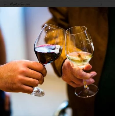 Thumbnail Wine tour di piccoli gruppi nelle Terre del Capo: Stellenbosch, Franschhoek e Paarl