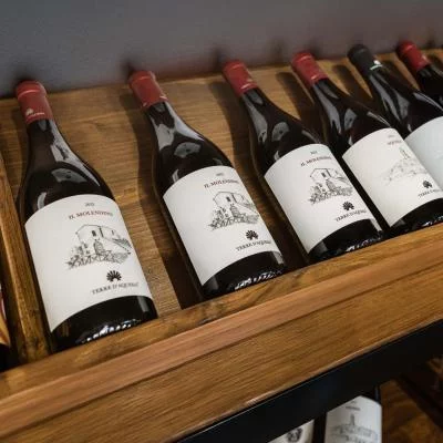 Thumbnail Visita a viñedos y cata de vinos tintos en Terre d'Aquesia, Tuscia