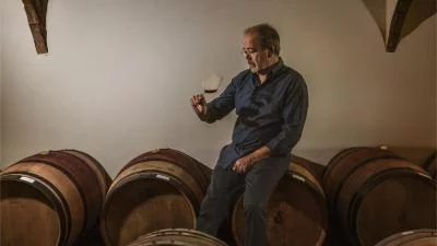 Thumbnail Cata de vinos de reserva y visita a barricas en Terre d'Aquesia, Tuscia