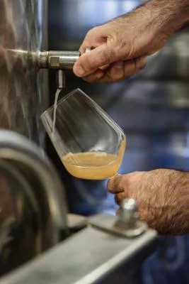 Thumbnail Natural Wine Tasting & Vineyard Tour at Terre d'Aquesia