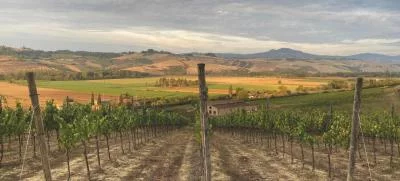 Thumbnail Degustazione di vini naturali e wine tour a Terre d'Aquesia