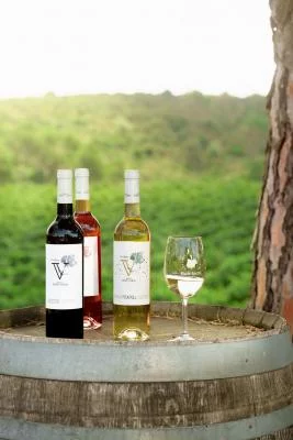 Thumbnail Cinque generazioni, una famiglia, una wine experience unica - Celler Grau i Grau