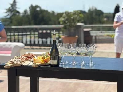 Thumbnail Tour privado y experiencia de cata de vinos desde Niza
