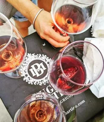 Thumbnail Achtsamer Spaziergang durch den Weinberg und Weinprobe in Bugno Martino