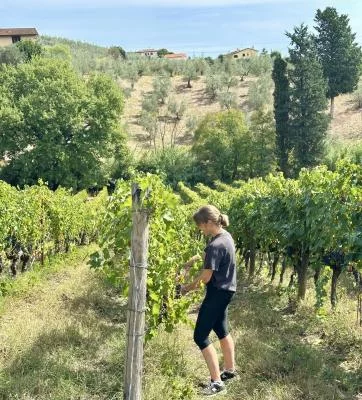 Thumbnail The Heart of Tuscany – A Visit That Truly Tells Our Story