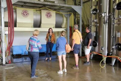 Thumbnail Cellar Tour and Tasting of 2 Champagnes at Champagne Blaise Lourdez