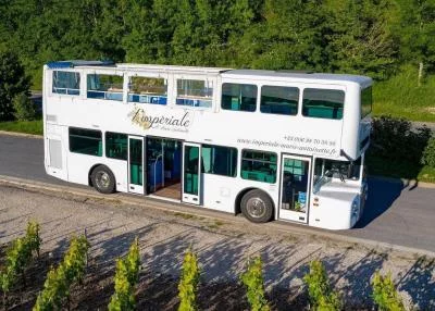 Thumbnail Épernay: 2h15 Champagne Open-Top Bus Tour mit 3 Verkostungen
