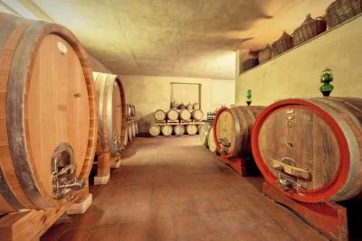 Thumbnail Degustazione e tour del Chianti Classico biologico presso Fattoria di Corsignano a Castelnuovo Berardenga