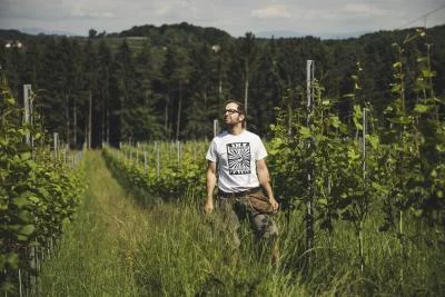 Thumbnail Guided Wine Tour at Herrenhof Estate