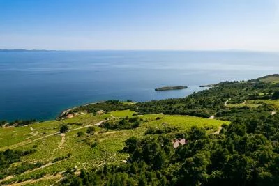 Thumbnail “Dingač” Wine & Lunch Experience at Vicelić Winery