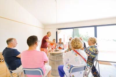 Thumbnail Visita guiada y degustación en Clos de Caveau - Viñedo ecológico familiar en la frontera de Vacqueyras y Gigondas