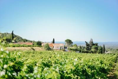 Thumbnail Visite guidée et dégustation "Vieux Millésimes" au Clos de Caveau - Vignoble familial bio à la frontière de Vacqueyras et Gigondas