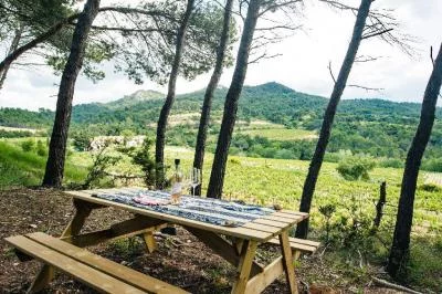 Thumbnail Pique-nique dans les vignes au Clos de Caveau - Vignoble familial bio à la frontière de Vacqueyras et Gigondas