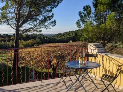 Thumbnail Picnic en las viñas de Clos de Caveau - Viñedo ecológico familiar en la frontera de Vacqueyras y Gigondas