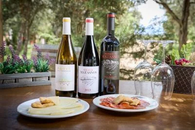 Thumbnail Dégustation de vin à Bosque de Matasnos - Découvre la cave unique de Ribera del Duero