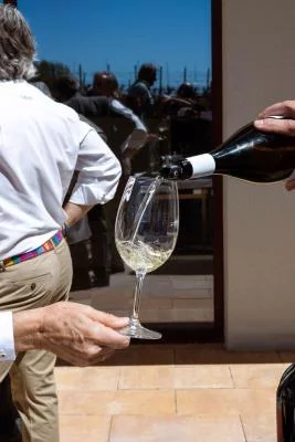 Thumbnail Weinprobe in Bosque de Matasnos - Entdecke das einzigartige Weingut der Ribera del Duero