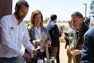 Thumbnail Degustazione di vini presso il Bosque de Matasnos - Scopri la cantina unica della Ribera del Duero