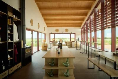 Thumbnail Pique-nique et vin à la cave Bosque de Matasnos à Ribera del Duero