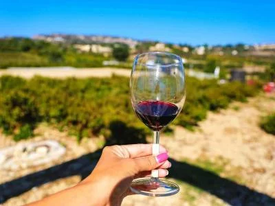 Thumbnail Wine Tour – Vineyards, Tastings & Scenic Views from Paphos