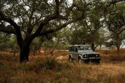 Thumbnail Jeep Tour and Terroir Tasting at Tapada de Coelheiros