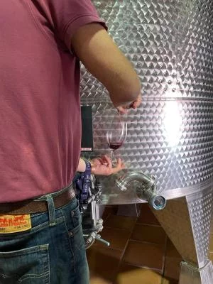 Thumbnail Ronda, Malaga: visita guidata alla cantina Conrad e degustazione di tapas locali