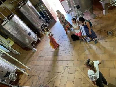 Thumbnail Ronda, Málaga: Visita guiada a la Bodega Conrad y cata maridada con tapas locales
