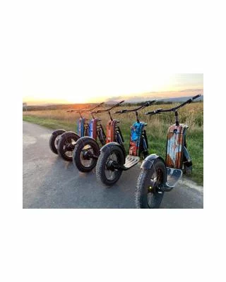 Thumbnail Visita al viñedo en scooter eléctrico y cata de vinos en el Château de Haute-Serre