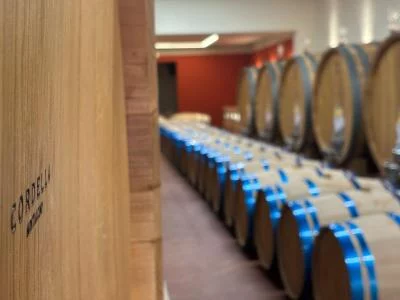 Thumbnail Premium Wine Tasting & Tuscan Platter at Cordella Winery in Montalcino