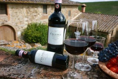 Thumbnail Chianti Classico Wine Tasting & Tour at San Fabiano Calcinaia in Castellina