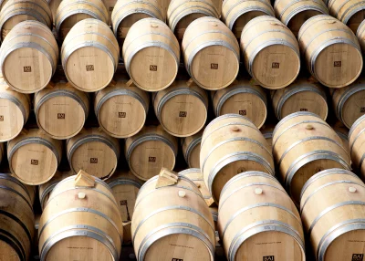 Thumbnail Rioja wine tour: winery and visit to Laguardia from Bilbao