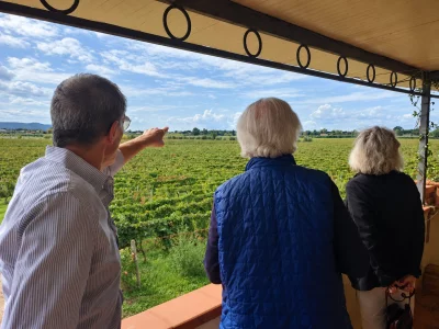 Thumbnail Tour privato del Brunello di Montalcino con pranzo e sommelier, con partenza da Siena