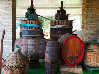 Thumbnail Visita a viñedos y bodegas con cata de vinos en Calabria en Vigne Calarco