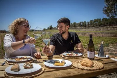 Thumbnail Cata de vinos y picnic en viñedos de la Terra Alta - Edetària Experience