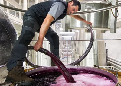 Thumbnail Rioja wine tour: winery and visit to Laguardia from Pamplona