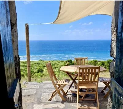 Thumbnail Visita a Viñedos y Cata de 7 Vinos Volcánicos en la Isla de Faial, Azores