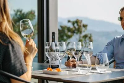 Thumbnail Terroir visit and tasting at Quinta de Santa Teresa