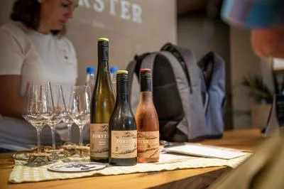 Thumbnail Ruta del vino con paseo por la naturaleza y picnic en Weingut Forster