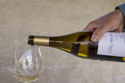 Thumbnail Cata de vinos avanzada en Bodegas Vilaplana