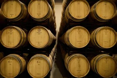 Thumbnail Découvre Ribera del Duero dans notre cave. Dîne avec le vigneron de Bosque de Matasnos