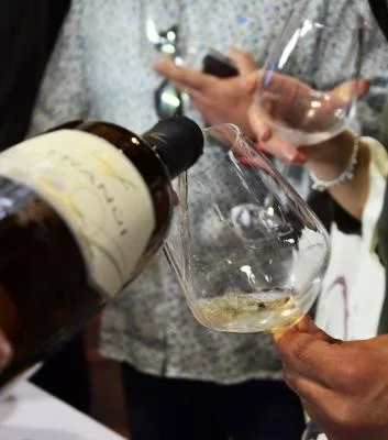 Thumbnail Vive una auténtica cata de vinos sicilianos en Fattorie Azzolino