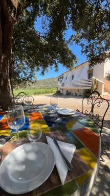 Thumbnail Pic Nic en la finca Vini Mura en Gallura