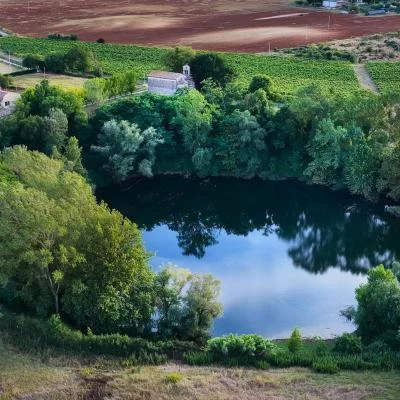 Thumbnail Luxuriöse Jeep-Weinsafari durch Weinberge, See und Weinkeller in Poggio ai Laghi
