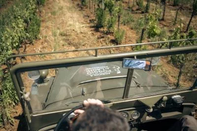 Thumbnail Safari del Vino en Jeep de Lujo por los Viñedos, el Lago y la Bodega de Poggio ai Laghi