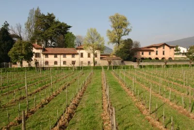 Thumbnail Museum Release Wine Tasting & Museum Visit at Ricci Curbastro in Franciacorta
