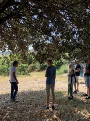 Thumbnail Olive oil & wine experience between mill Conio 18 and winery Fattoria Dianella 1 in Vinci