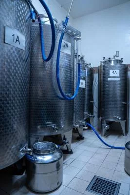 Thumbnail Olivenöl- & Weinerlebnis zwischen der Mühle Conio 18 und dem Weingut Fattoria Dianella 1 in Vinci