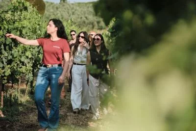 Thumbnail Regina Viarum Weinerlebnis auf dem Lande in Rom